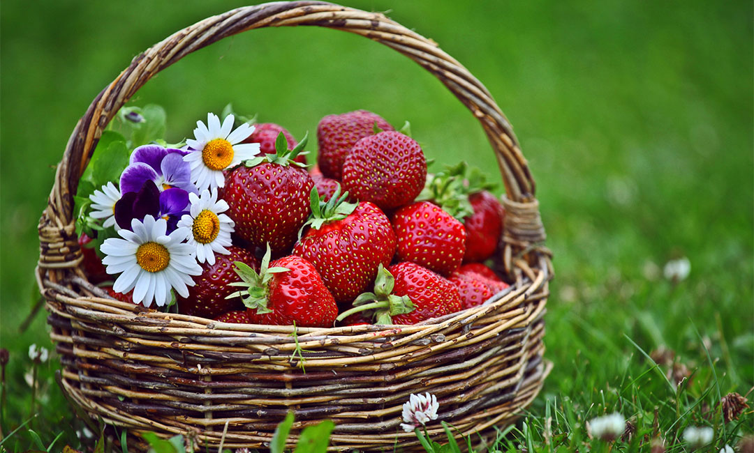 和平点呀点水果电商APP开发案例